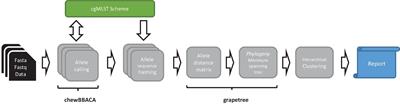 Decentralized Investigation of Bacterial Outbreaks Based on Hashed cgMLST